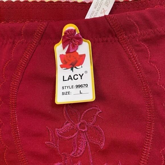 Lacy assorted embroidery design print panties - Picture 8 of 8